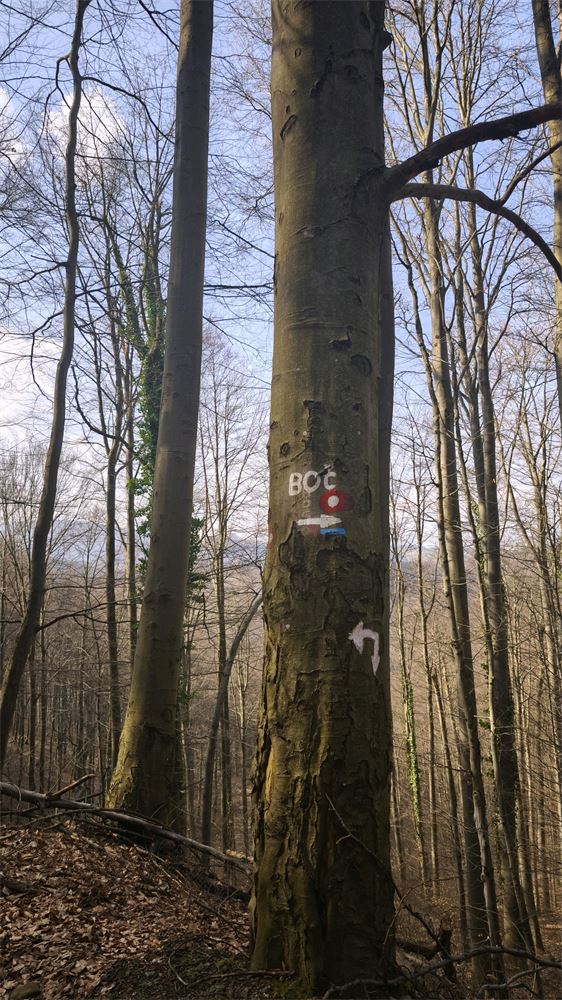 Planinski dom pod Donačko goro - Rudijev dom