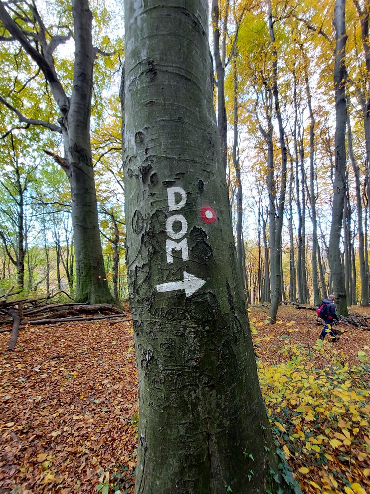 Planinski dom pod Donačko goro - Rudijev dom